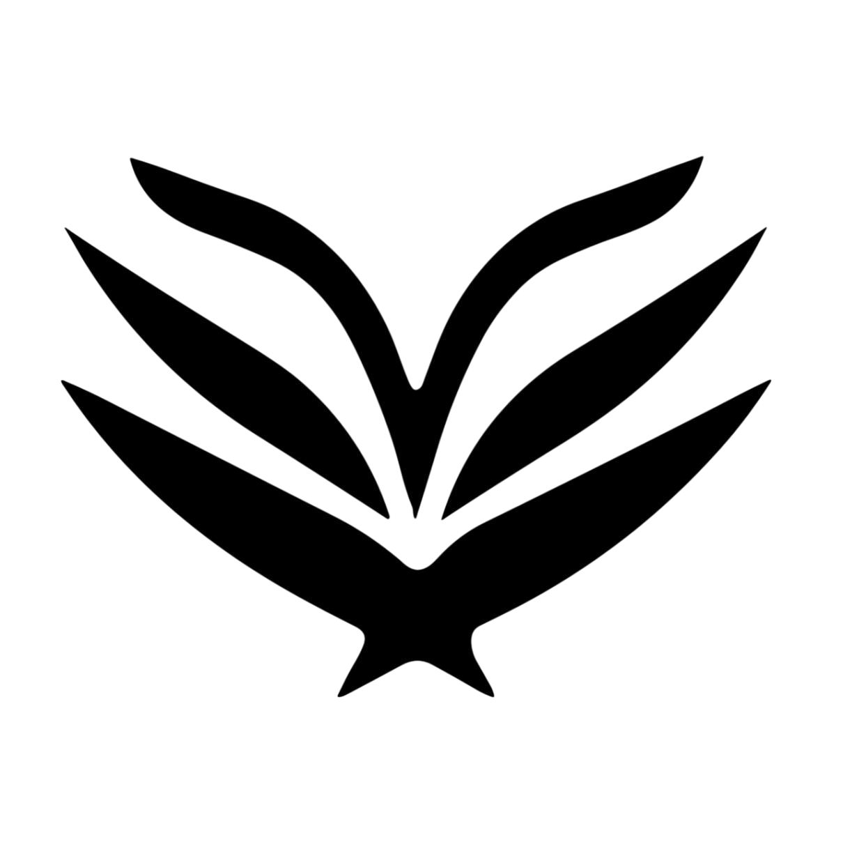417715856_212733111904835_1269273933296597208_n-Photoroom
